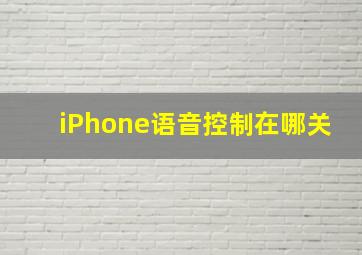 iPhone语音控制在哪关