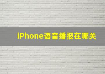 iPhone语音播报在哪关