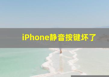 iPhone静音按键坏了