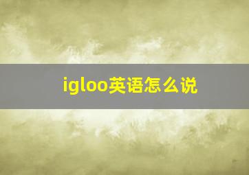 igloo英语怎么说