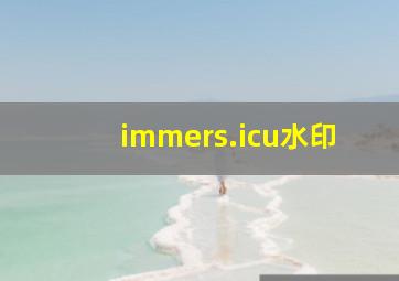 immers.icu水印