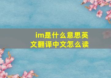 im是什么意思英文翻译中文怎么读