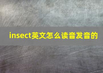 insect英文怎么读音发音的