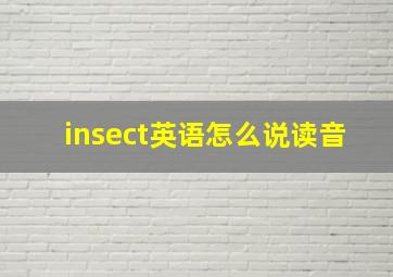 insect英语怎么说读音