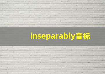 inseparably音标