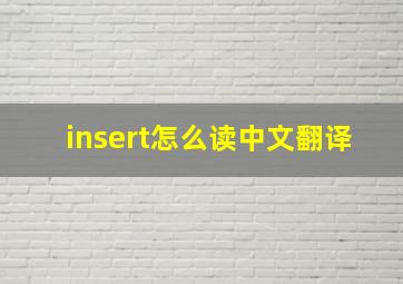 insert怎么读中文翻译