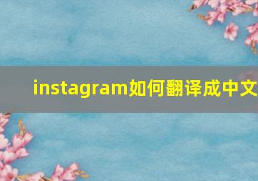 instagram如何翻译成中文