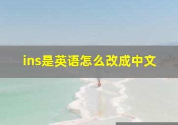 ins是英语怎么改成中文