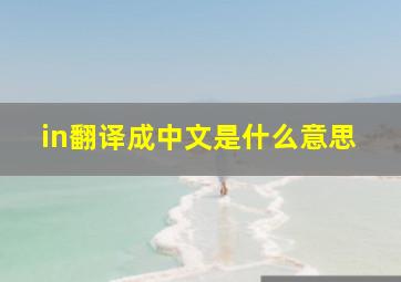 in翻译成中文是什么意思