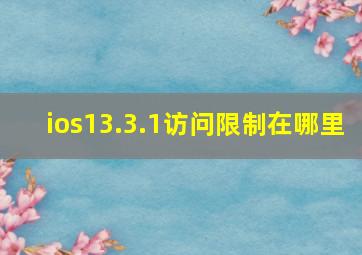 ios13.3.1访问限制在哪里