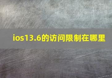 ios13.6的访问限制在哪里