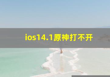 ios14.1原神打不开