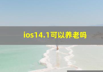 ios14.1可以养老吗