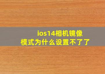 ios14相机镜像模式为什么设置不了了