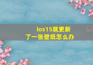 ios15就更新了一张壁纸怎么办