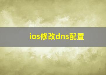 ios修改dns配置