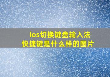 ios切换键盘输入法快捷键是什么样的图片