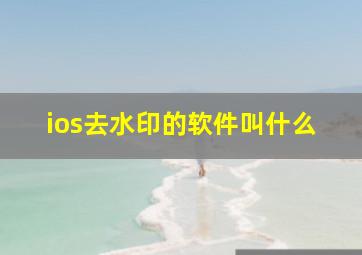 ios去水印的软件叫什么