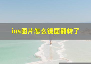 ios图片怎么镜面翻转了