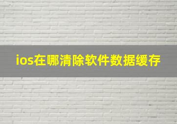 ios在哪清除软件数据缓存