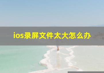 ios录屏文件太大怎么办