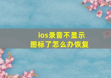 ios录音不显示图标了怎么办恢复