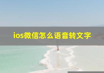 ios微信怎么语音转文字