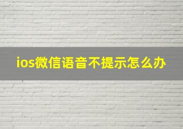 ios微信语音不提示怎么办