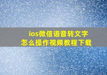 ios微信语音转文字怎么操作视频教程下载