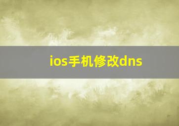 ios手机修改dns