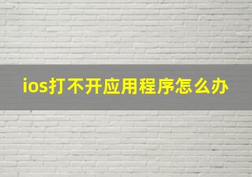 ios打不开应用程序怎么办