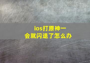 ios打原神一会就闪退了怎么办