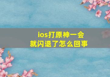 ios打原神一会就闪退了怎么回事