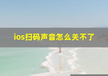 ios扫码声音怎么关不了