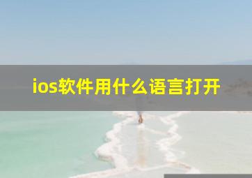 ios软件用什么语言打开