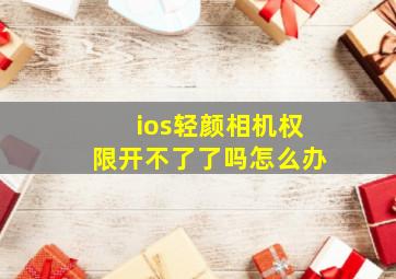 ios轻颜相机权限开不了了吗怎么办