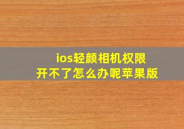 ios轻颜相机权限开不了怎么办呢苹果版