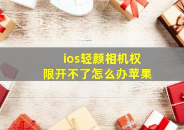 ios轻颜相机权限开不了怎么办苹果