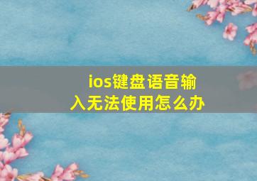 ios键盘语音输入无法使用怎么办