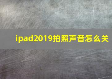 ipad2019拍照声音怎么关