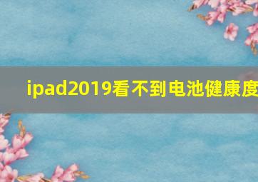 ipad2019看不到电池健康度