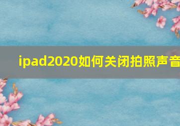 ipad2020如何关闭拍照声音