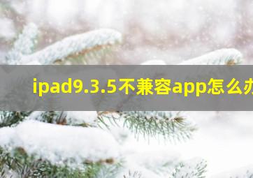 ipad9.3.5不兼容app怎么办