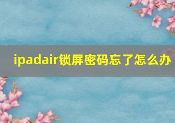 ipadair锁屏密码忘了怎么办