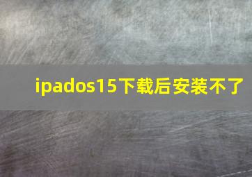 ipados15下载后安装不了