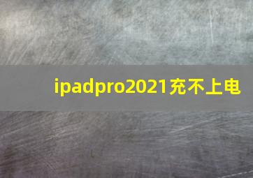 ipadpro2021充不上电