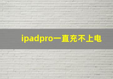 ipadpro一直充不上电