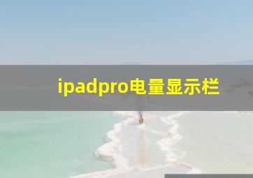 ipadpro电量显示栏