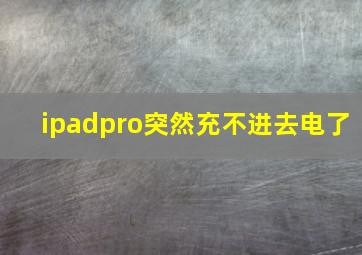 ipadpro突然充不进去电了