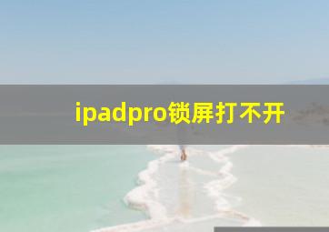 ipadpro锁屏打不开